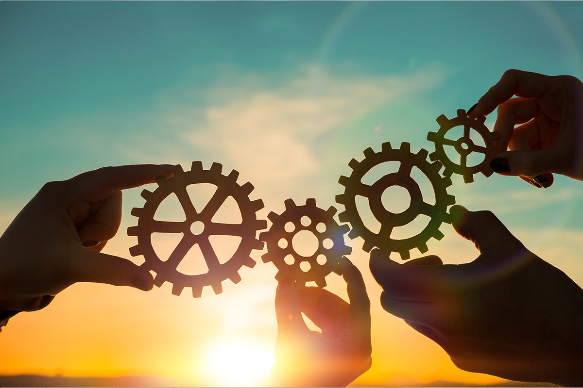 Career Development Series Pre-Manager: Meet Professional Performance Standards