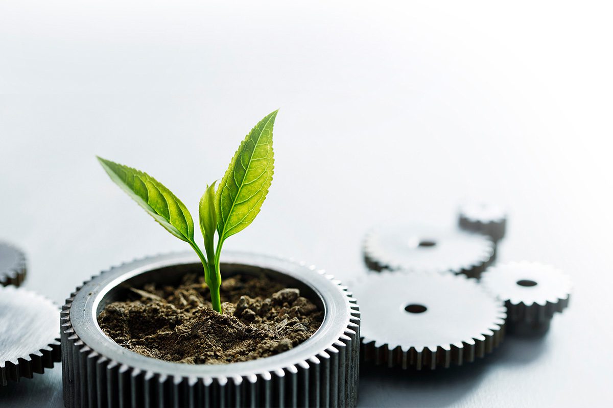 Career Development Series Pre-Manager: Understand and Utilize Marketing